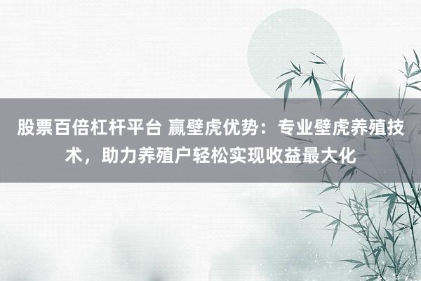 股票百倍杠桿平臺 贏壁虎優(yōu)勢：專業(yè)壁虎養(yǎng)殖技術(shù)，助力養(yǎng)殖戶輕松實(shí)現(xiàn)收益最大化