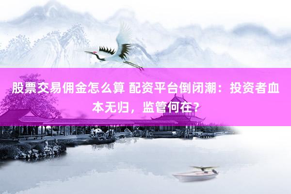 股票交易傭金怎么算 配資平臺(tái)倒閉潮：投資者血本無(wú)歸，監(jiān)管何在？