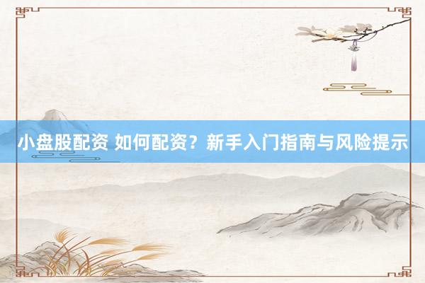 小盤股配資 如何配資？新手入門指南與風(fēng)險提示